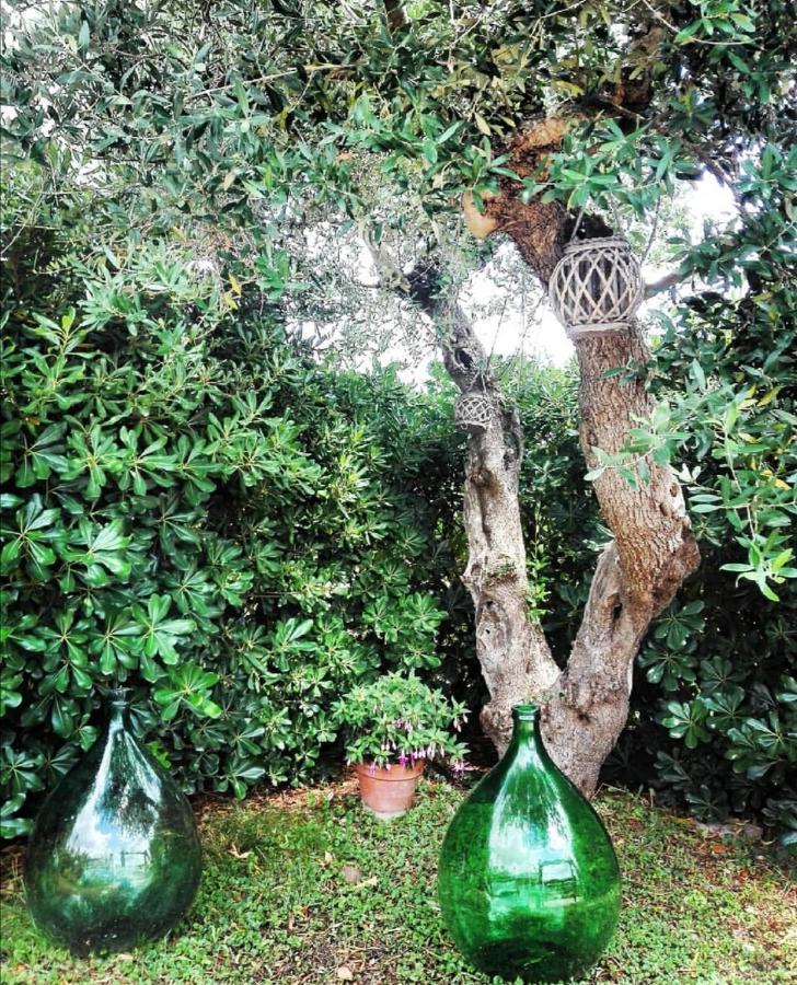 Vila Trulli Francesca Ciclovia Locorotondo Exteriér fotografie