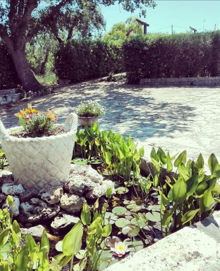 Vila Trulli Francesca Ciclovia Locorotondo Exteriér fotografie