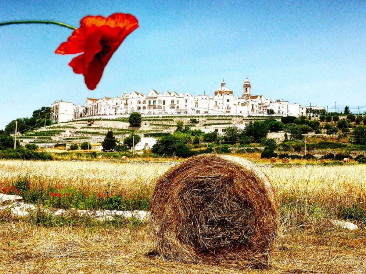 Vila Trulli Francesca Ciclovia Locorotondo Exteriér fotografie